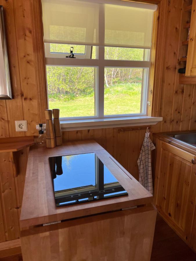Summerhouse Vaglaskogur アークレイリ エクステリア 写真