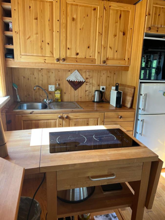 Summerhouse Vaglaskogur アークレイリ エクステリア 写真
