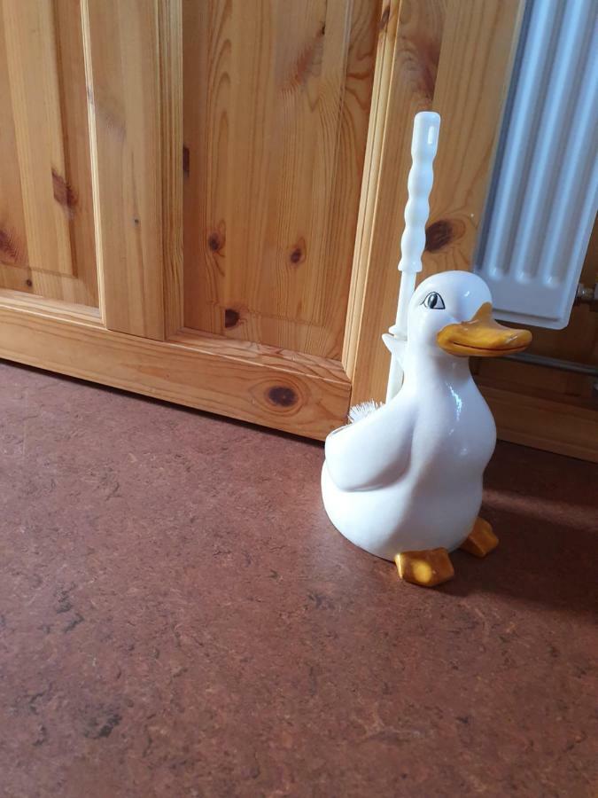 Summerhouse Vaglaskogur アークレイリ エクステリア 写真